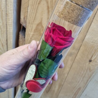 Floristeria Vila-seca, Sant Valentí, San Valentin 2025