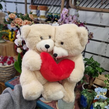 DOS OSOS de peluche con corazón rojo de San Valentín