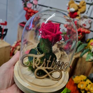 Rosa preservada San Valentín 2025, Floristeria Artesaniaflorae, Floristeria Vila-seca