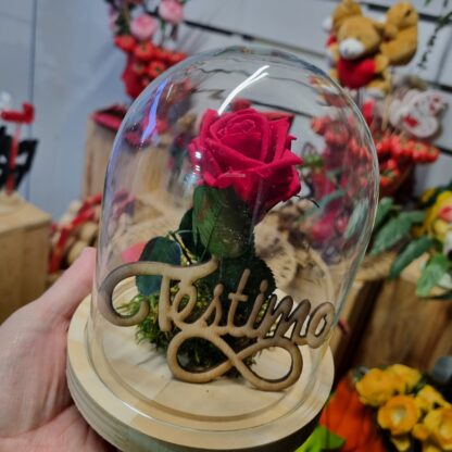 Rosa preservada San Valentín 2025, Floristeria Artesaniaflorae, Floristeria Vila-seca