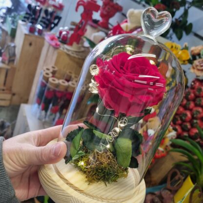 Rosa preservada San Valentín 2025, Floristeria Artesaniaflorae, Floristeria Vila-seca