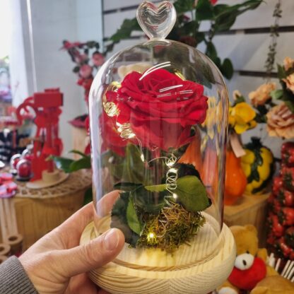 Rosa preservada San Valentín 2025, Floristeria Artesaniaflorae, Floristeria Vila-seca