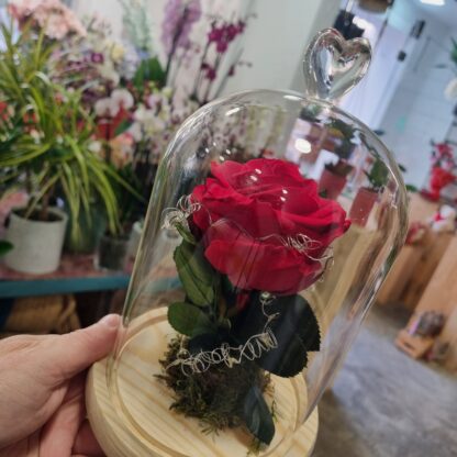 Rosa preservada San Valentín 2025, Floristeria Artesaniaflorae, Floristeria Vila-seca